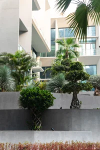 real-estate-luxury-photography-video-theandersco